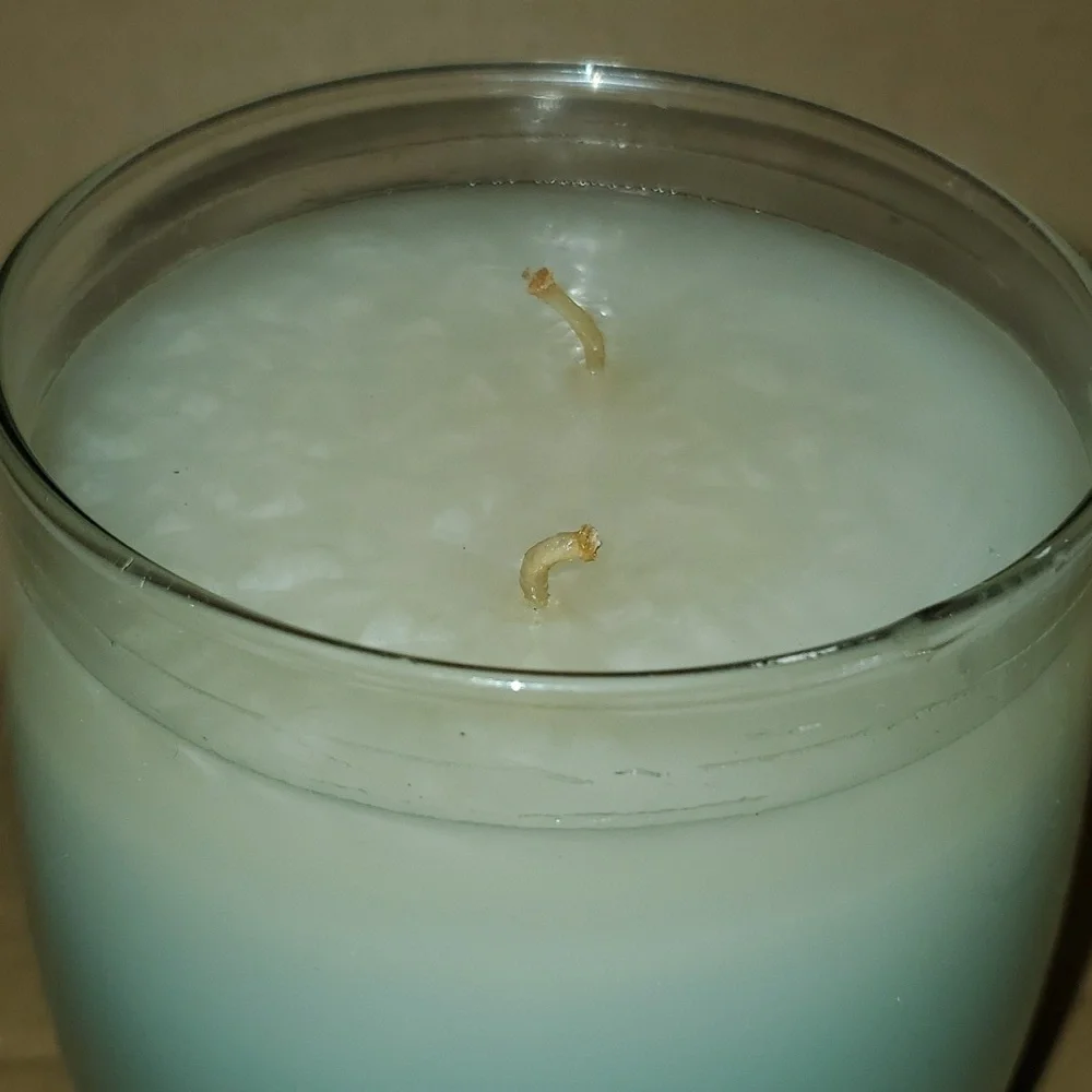 CUCUMBER MELON Medium/16 oz two wick Bella jar Gold Canyon candle‎